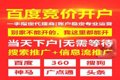 竞价广告的技巧与策略：网络推广的经典案例分享
